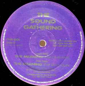 The Sound Gathering - The Meaning album cover