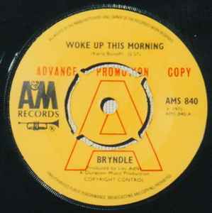 Bryndle - Woke Up This Morning album cover