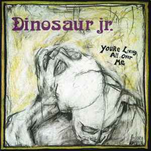 Dinosaur Jr. - Beyond | Releases | Discogs
