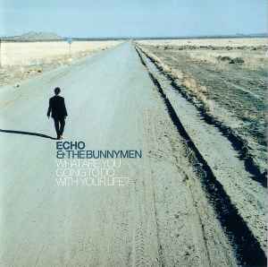 What Are You Going To Do With Your Life? - Echo & The Bunnymen