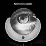 Cover of Incubation, 2013-03-04, File
