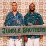 Jungle Brothers - V.I.P. album cover