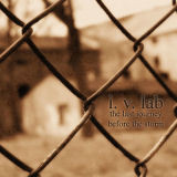 baixar álbum IVLab - The Last Journey Before The Storm