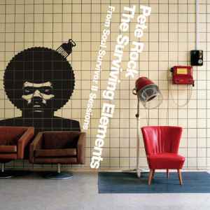Pete Rock - The Surviving Elements album cover