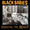 Black Babies -  Feeding The Beast 