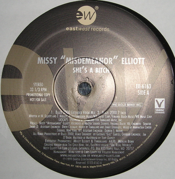 baixar álbum Missy Misdemeanor Elliott - Shes A Bitch Blaze 2000 Remixes