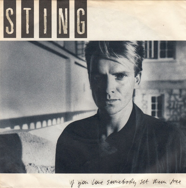 Sting – If You Love Somebody Set Them Free (1985, Vinyl) - Discogs