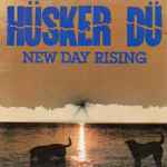 Cover of New Day Rising, , File