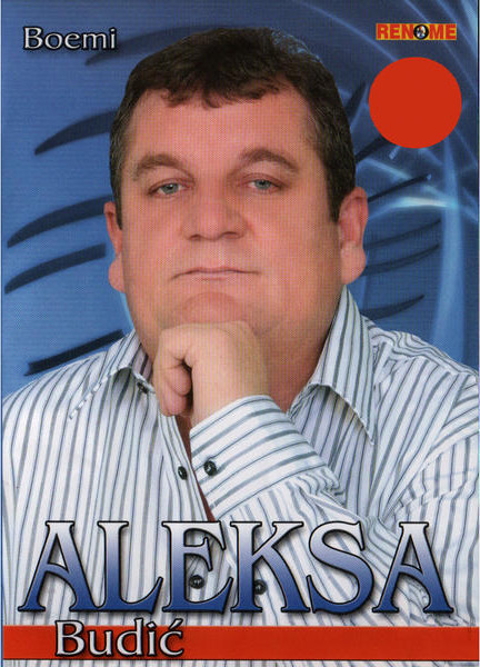 télécharger l'album Aleksa Budić - Boemi