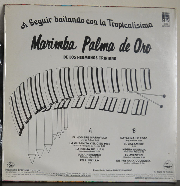 Album herunterladen Marimba Palma De Oro - A Sequir Bailando Con La Tropicalisima
