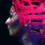 Cover of  Hand. Cannot. Erase., 2015, CD