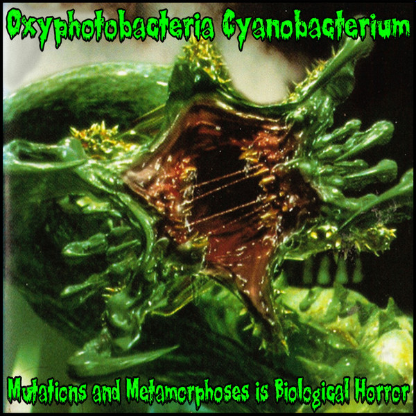 ladda ner album Oxyphotobacteria Cyanobacterium - Mutations and Metamorphoses is Biological Horror