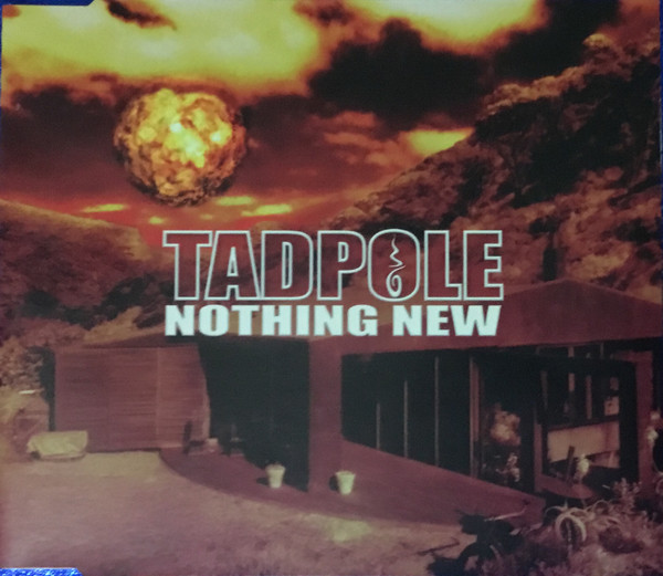 télécharger l'album Tadpole - Nothing New