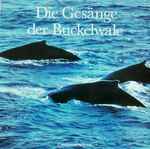 Cover of Die Gesänge Der Buckelwale, 1988, Vinyl