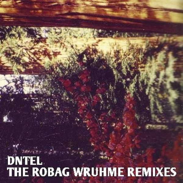 descargar álbum Dntel - The Robag Wruhme Remixes