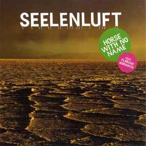 Seelenluft - Horse With No Name album cover