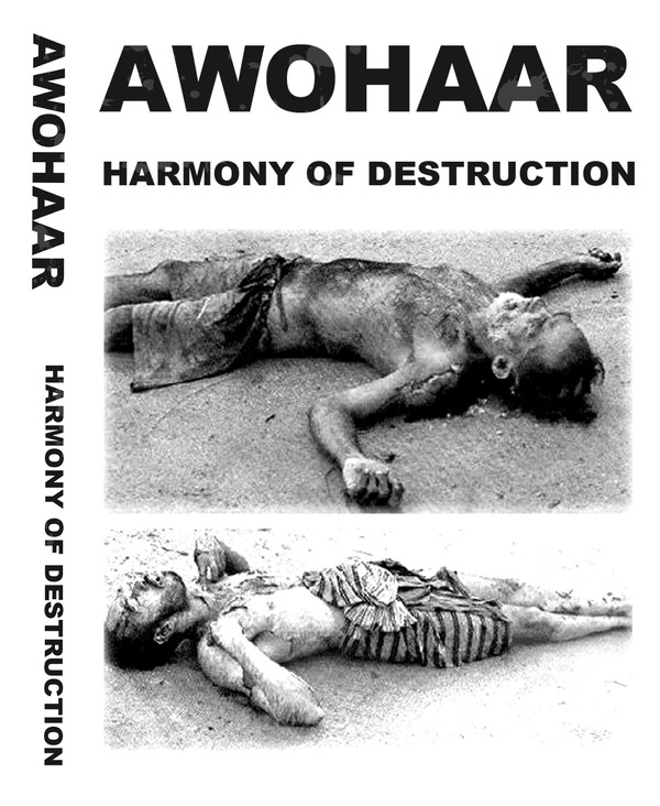 télécharger l'album Awohaar - Harmony Of Destruction