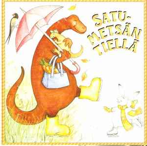 Keskisen Uudenmaan Musiikkiopisto – Satumetsän Tiellä (1999, CD) - Discogs