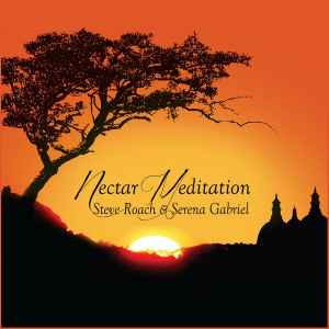 Steve Roach - Nectar Meditation album cover