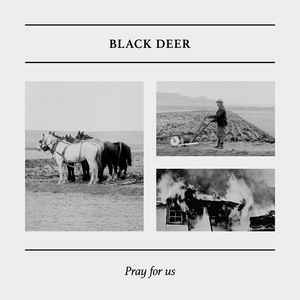 Black Deer - Pray For Us  album cover