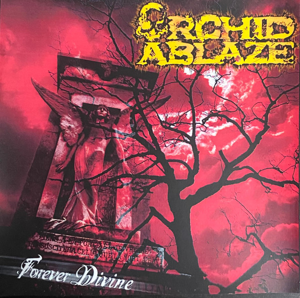last ned album Orchid Ablaze - Forever Divine