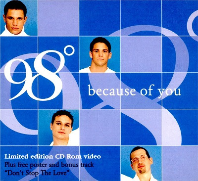 98 Degrees - Because Of You (Dance Remixes) - Vinyl 12 - 1998 - US -  Original