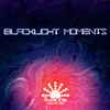 Various - Blacklight Moments