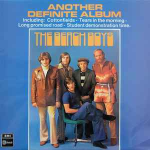 The Beach Boys - Another Definite Album album cover