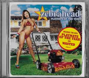Zebrahead - Playmate Of The Year album cover