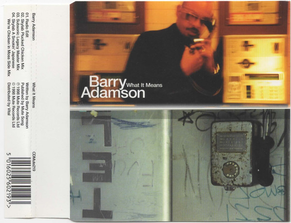 Barry Adamson - What It Means | Mute (CDMute219)