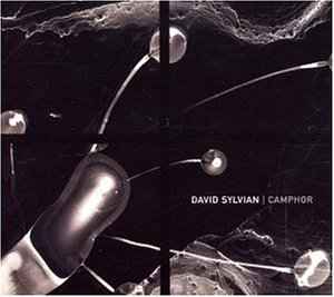 Camphor - David Sylvian