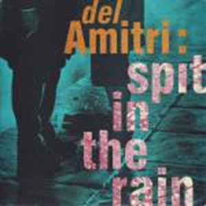 Del Amitri - Spit In The Rain album cover