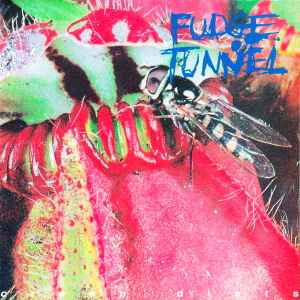 Fudge Tunnel - Creep Diets album cover