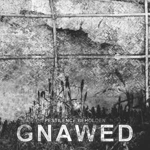 Gnawed - Pestilence Beholden album cover