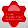 Toru S., A Torus - House Is So Special (Organ Zone & Mr Campo Remix)