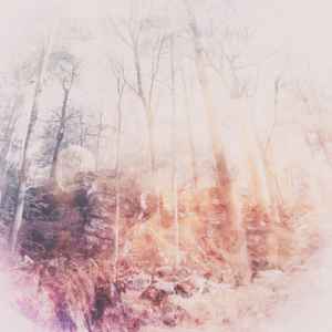 Poemme - Arboretum album cover