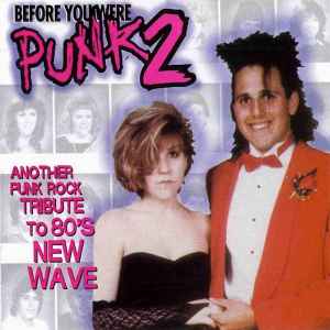 Various - Before You Were Punk 2 album cover