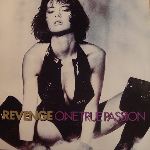 Revenge – One True Passion (1990, Vinyl) - Discogs