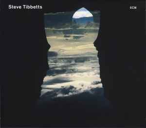 Natural Causes - Steve Tibbetts