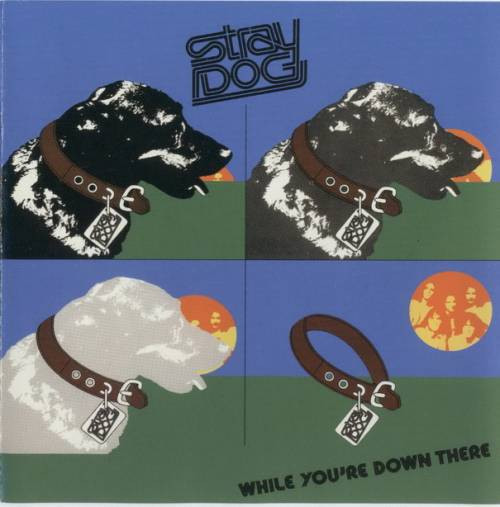 Stray Dog - While You're Down There | Releases | Discogs