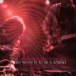 Cover of I Just Want It To Be A Sound (Live At Ikuwo, Greifswald. April, 5th, 2013​.​), 2013-06-04, CDr