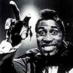 baixar álbum Screamin' Jay Hawkins - She Put The Wammee On Me