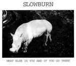 Slowburn (2) - What Else Is You And If You Go There album cover