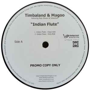 Timbaland & Magoo - Indian Flute album cover