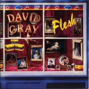 David Gray - Flesh album cover