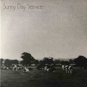 Sunny Day Service - サニーデイ・サービス