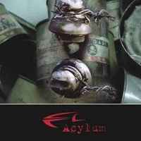 Acylum - The Enemy album cover