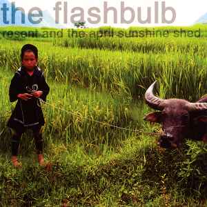 The Flashbulb - Resent And The April Sunshine Shed album cover
