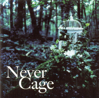 Lareine – Never Cage (2004, CD) - Discogs
