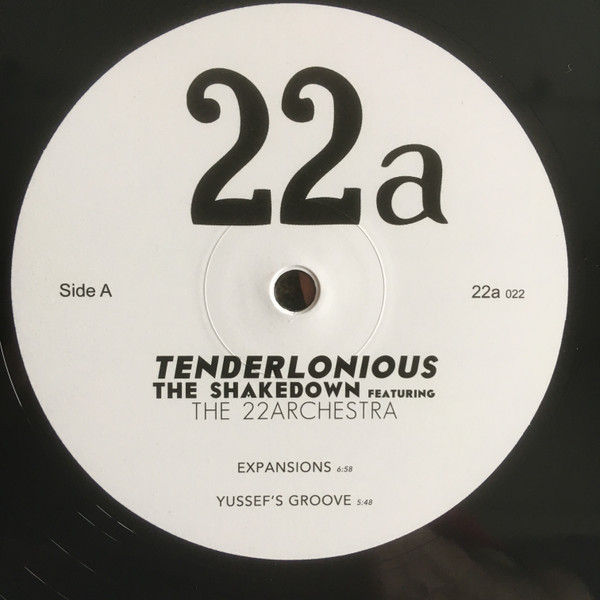 lataa albumi Tenderlonious featuring The 22archestra - The Shakedown